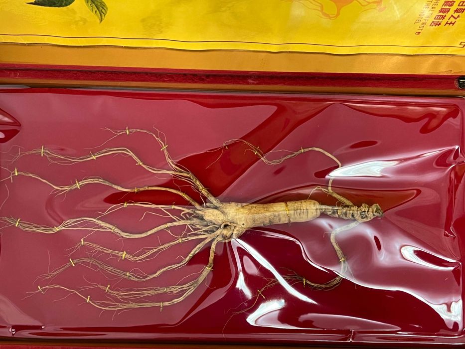 Корень женьшеня из Китая, ≈20гр