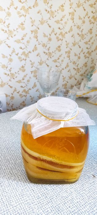 Чайный гриб (комбуча).