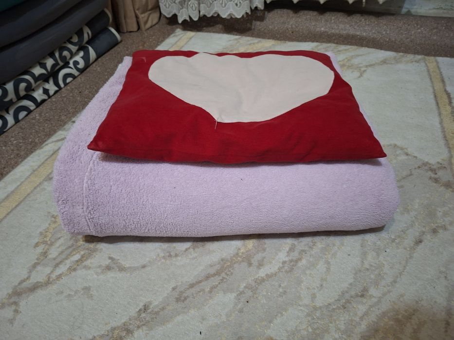 Теплый плед и подушка