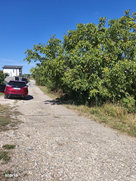 Teren intre case Valea Chintalului+ acces rețea apă și electricitate