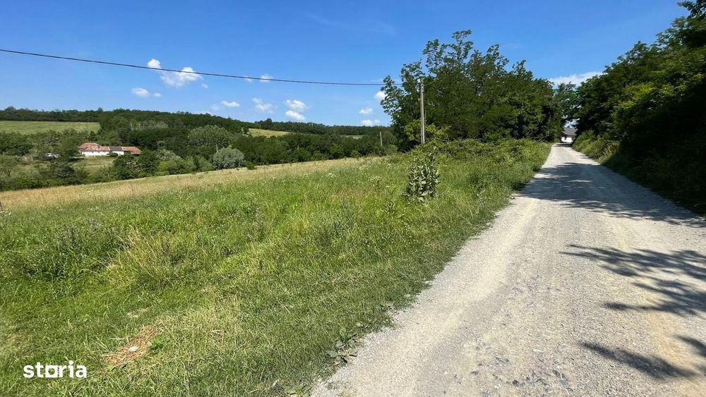 Teren 10.000 mp în Ceica – Oportunitate Excelentă de Investiție!