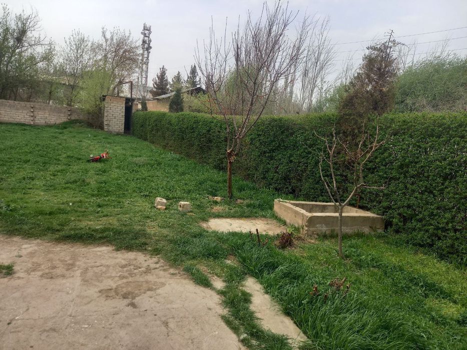 Sevinch dukoni tayyor biznis