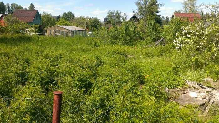 Продам дачный участок 6,5сот.