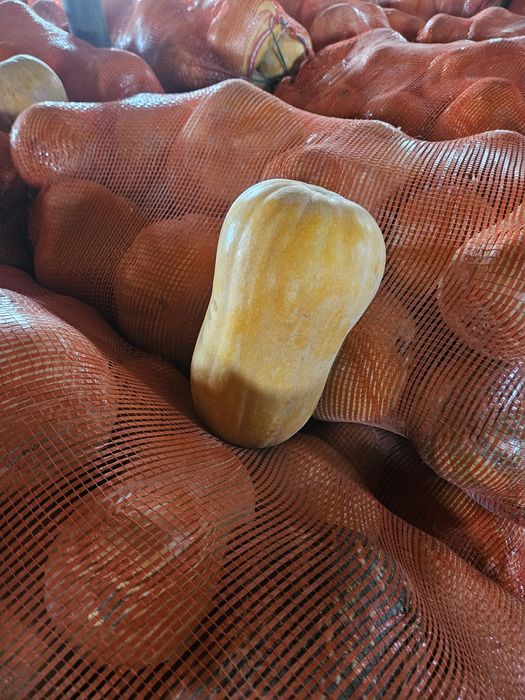 Аскабак бар 90тенге