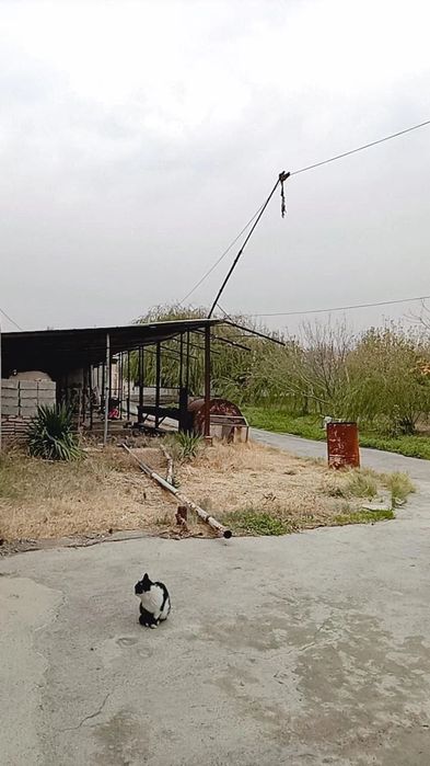 Очень срочно продается готовая ферма 1,27 Га Маданият