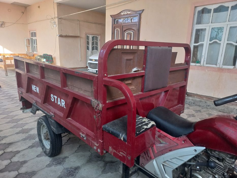 Муравей, New Star