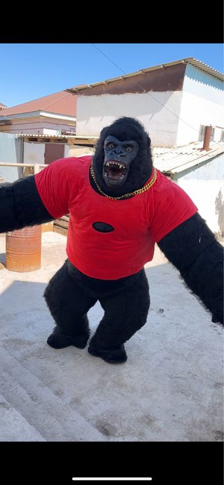 Аниматор кинг конг сатылады