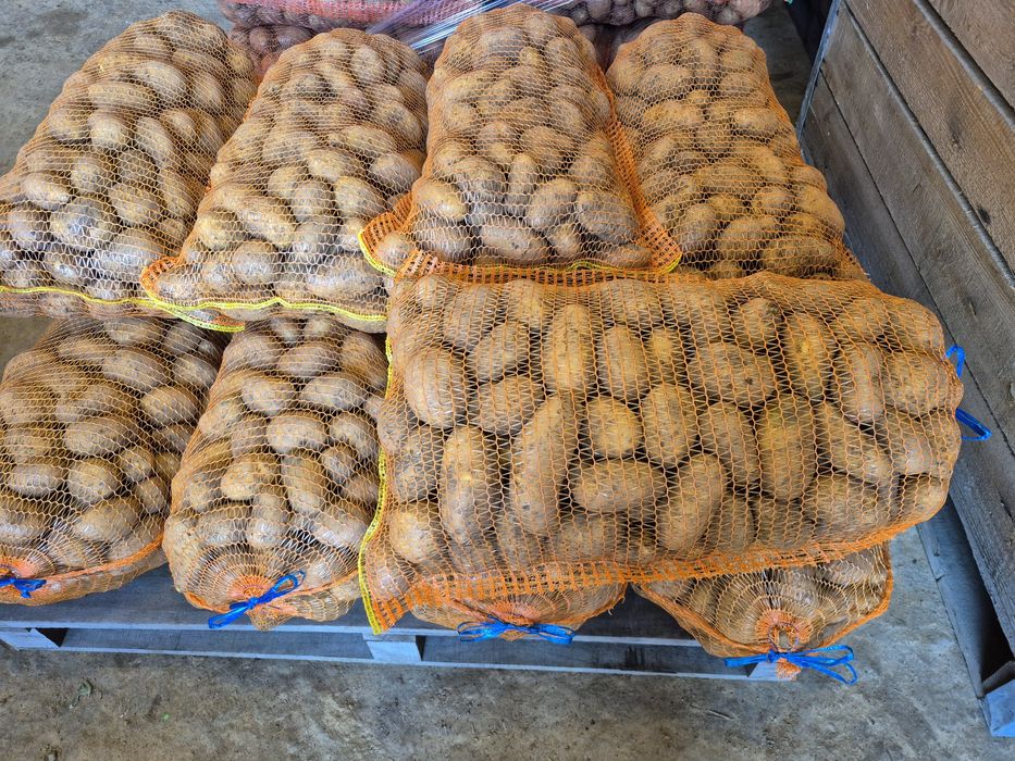 Cartofi consum alb si rosu