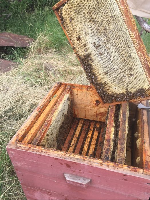 Продам улья рут