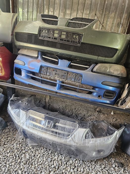 Мини морды ноускат