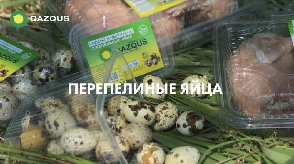 Перепелинный мясо и яйцо