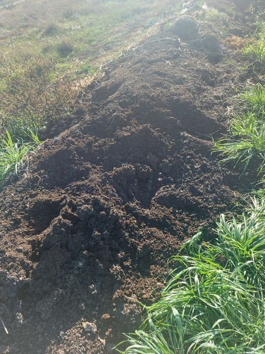 Gunoi - Compost - Mraniță