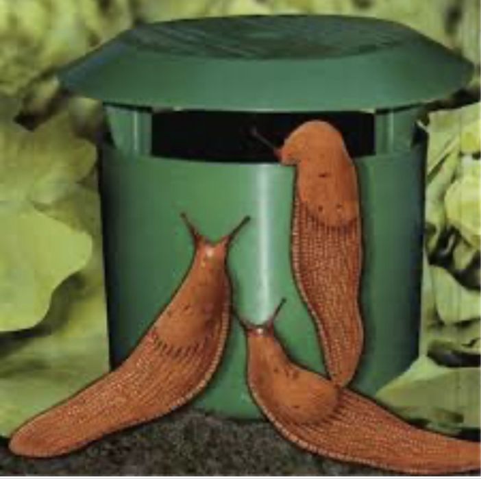 Капан за охлюви