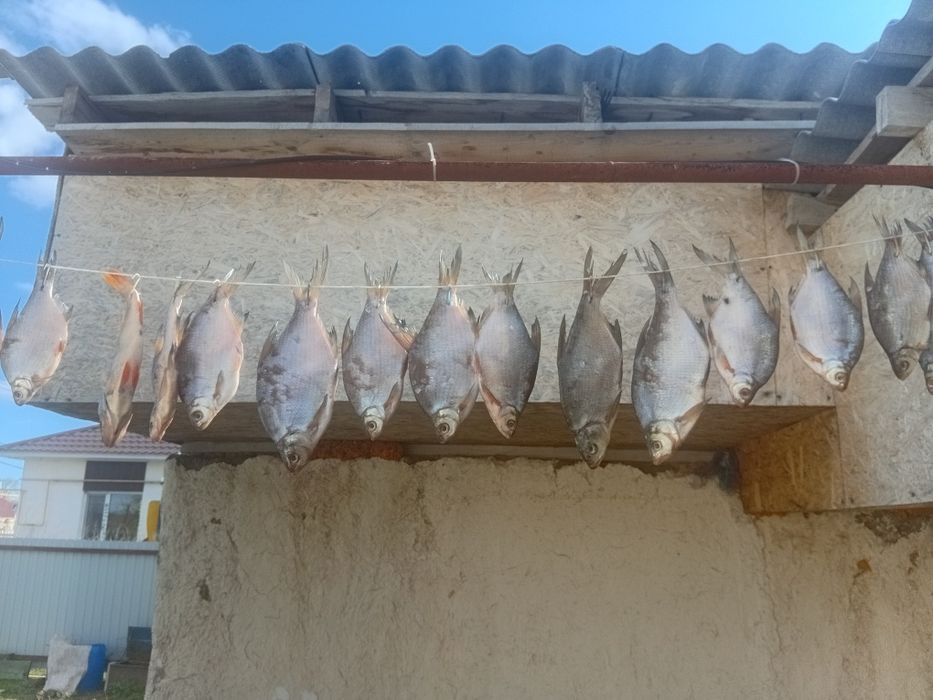 Продам вяленую рыбу