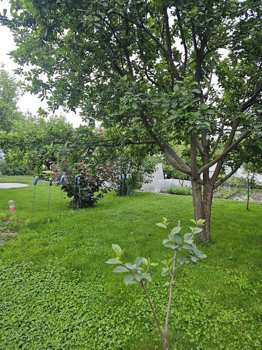 Продам капитальный, кирпичный дом в городе
