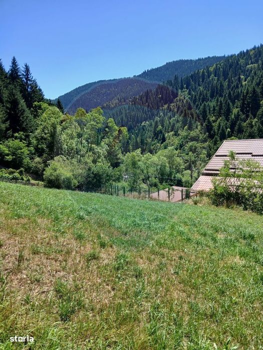 Teren intravilan 1349mp | Scarisoara | Oportunitate de Investiție