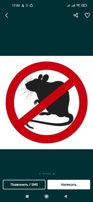 Sichqon Kalamush dori