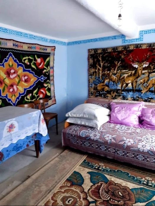 Casa batraneasca Salcioara