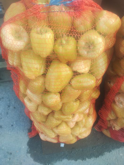Răsaduri Ardei Tomate Roșii Vinete