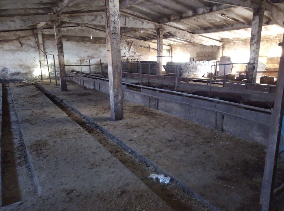 Продам базу с площадью