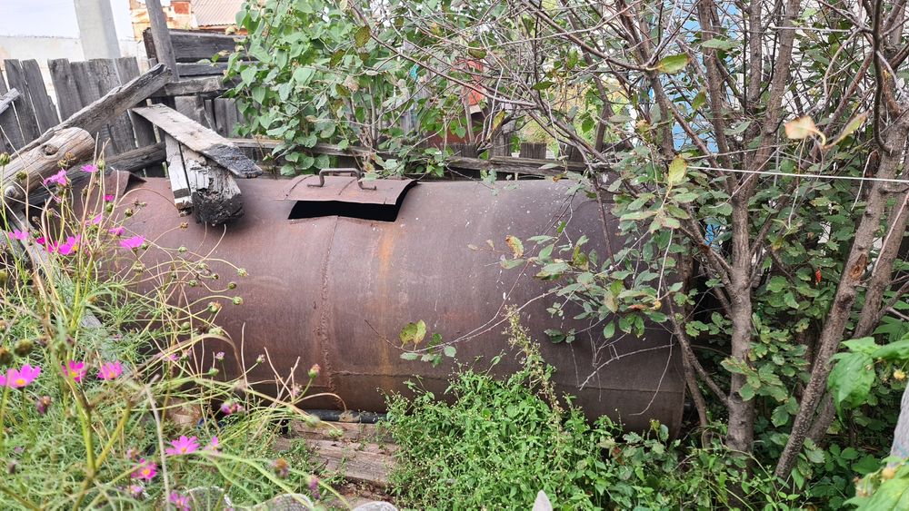 17 дачи, 3 общество