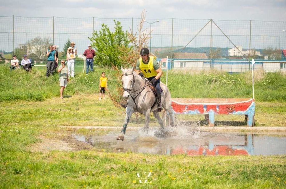Cal de proba completă, de vanzare