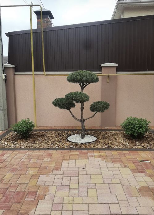 Озеленение участков