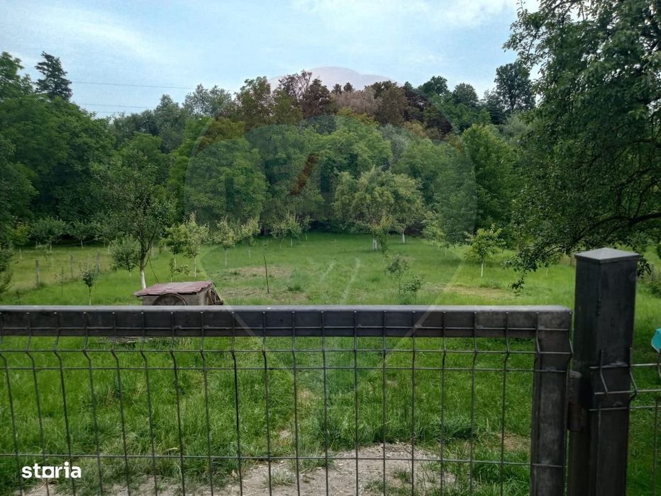 Casă individuală, teren 3275 mp, 6 camere, livadǎ cu pomi fructiferi