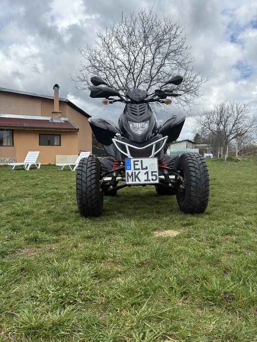 ATV DINLI 300 cc.