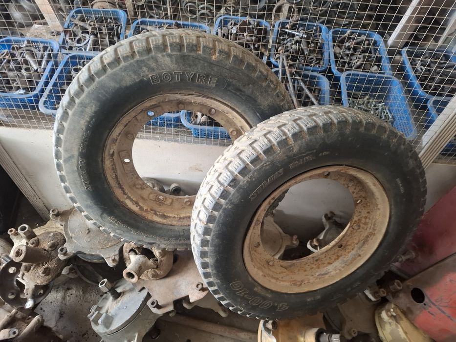 Муравей балонлар