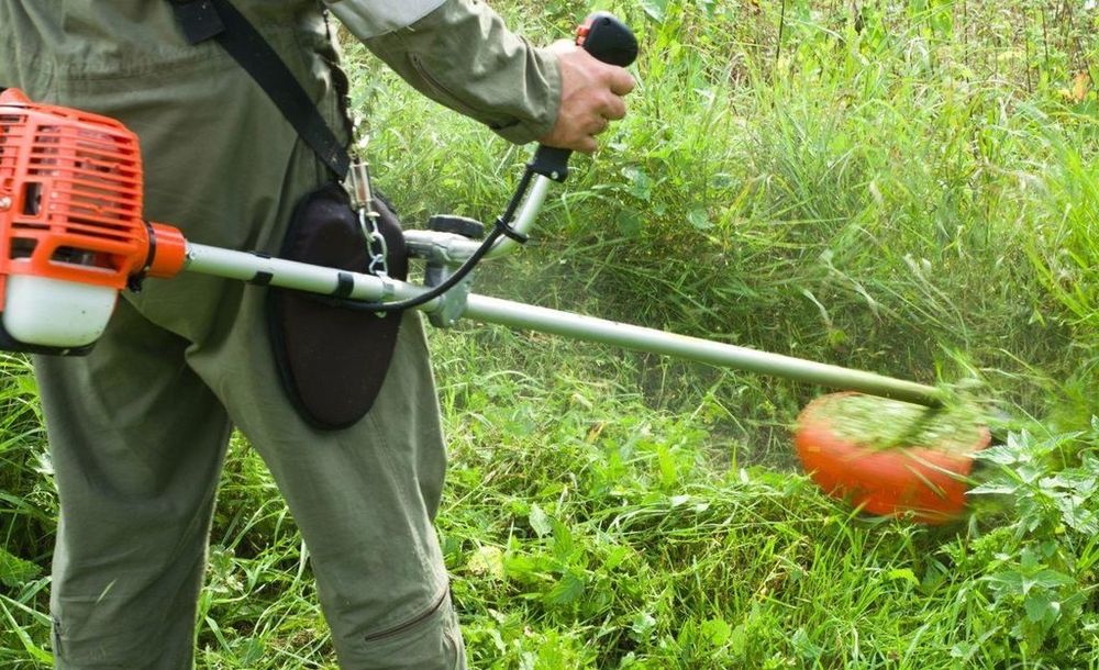 Шөп ору пакос травы