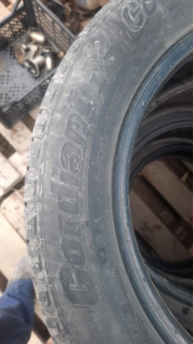 205/55/6 лета 4 штук