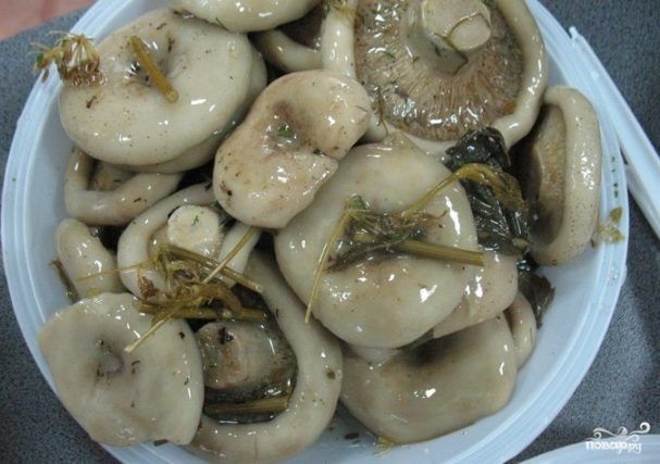 Грузди лесные солёные .