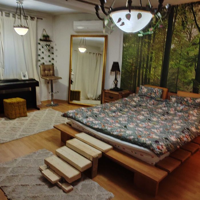 Vila Pantelimon pet friendly