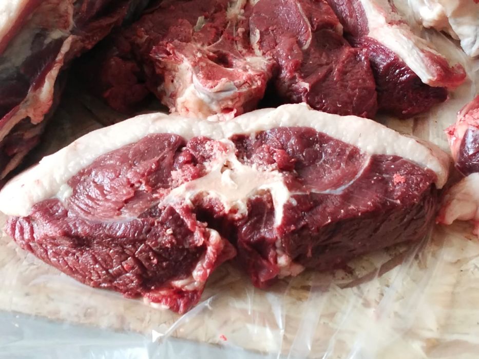 Продается мясо конины !