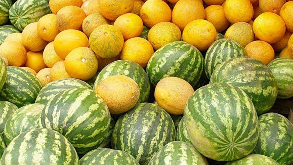 Дыни Ароматом со вкусом Детства