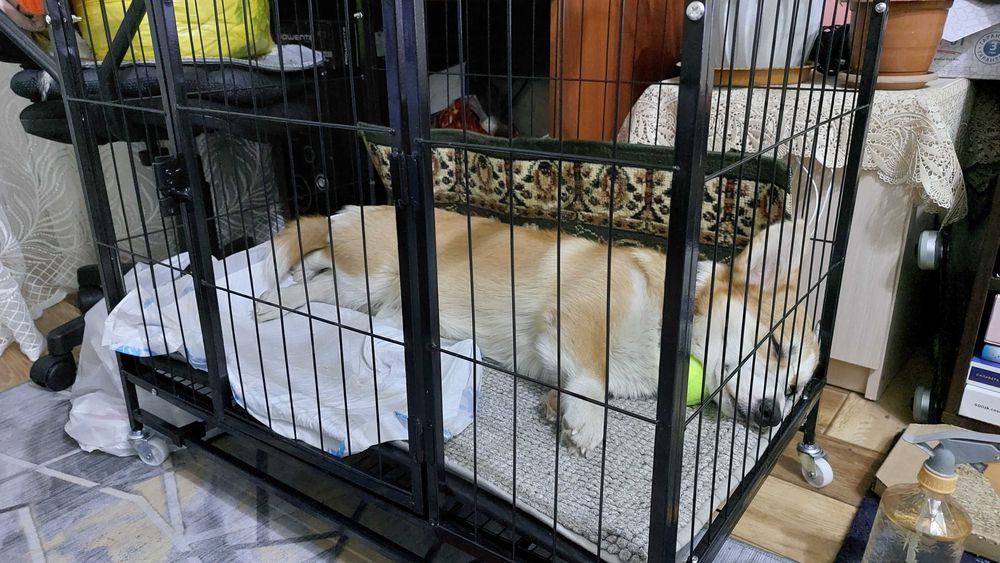 Клетка для собак