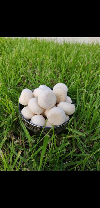 Курт оптом,  ірімшік рафаэло