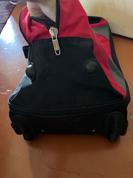 Сумка чемодан для поездок