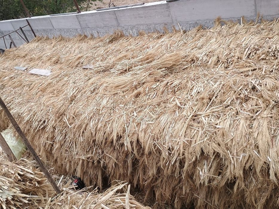 Tel pentru făcut mături – bun, uscat, gata de treabă