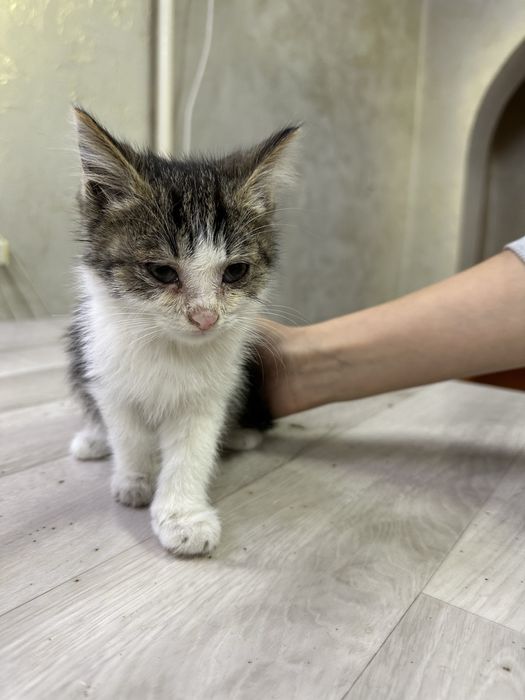 Мальчик ищет дом