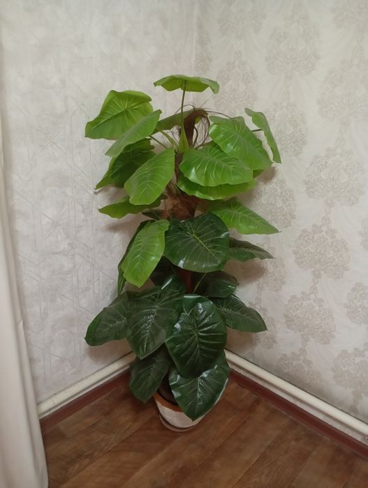 Продам искусственные пальмы