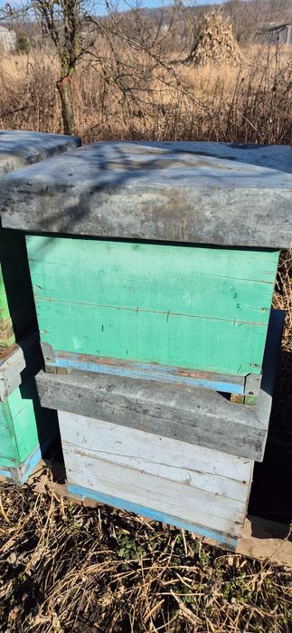 Lazi stupi 12 rame cu grosime 2,5cm