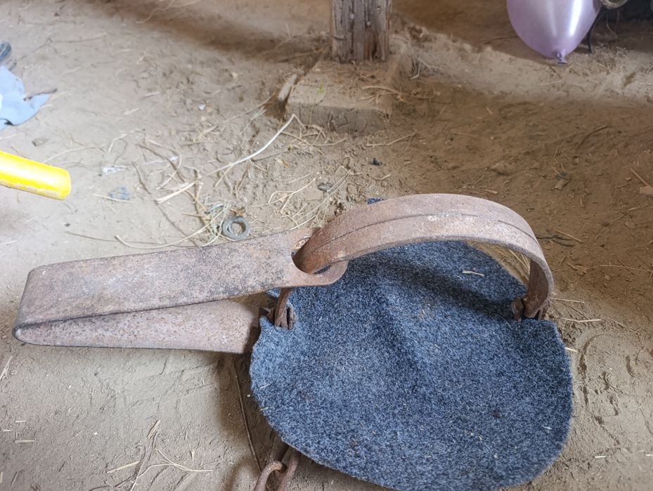 Катта Капконлар сотилади