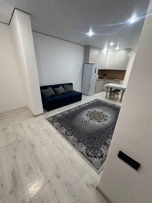 Сдаю 1 комнатную квартиру