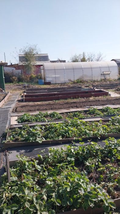 Продам дачу в черте города