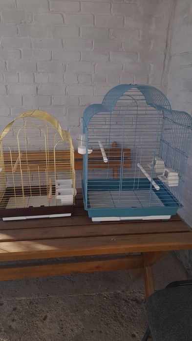 Попугаев неразлучники