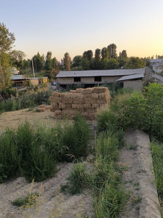 Вилла куриш учун мулжалланган 20 сотих бог девор уралган