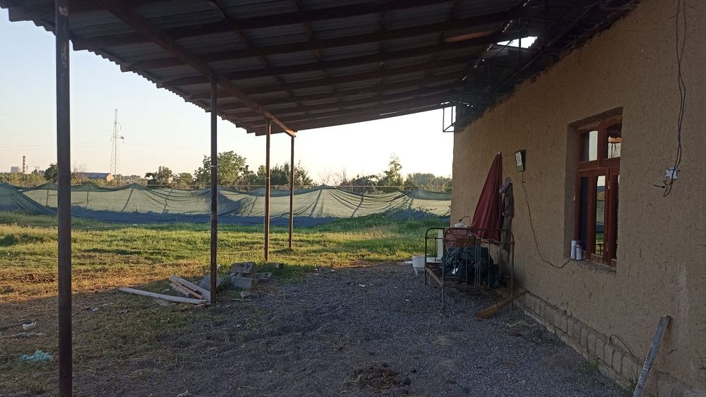 Hovli sotiladi 5 sotix