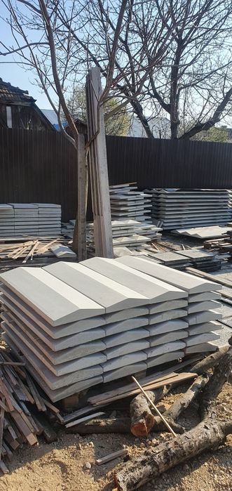 Stalpi de beton,spalieri,zmeura,mure,vie garduri